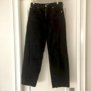 Black Everlane high waisted cropped raw hem jeans size 27 regular length